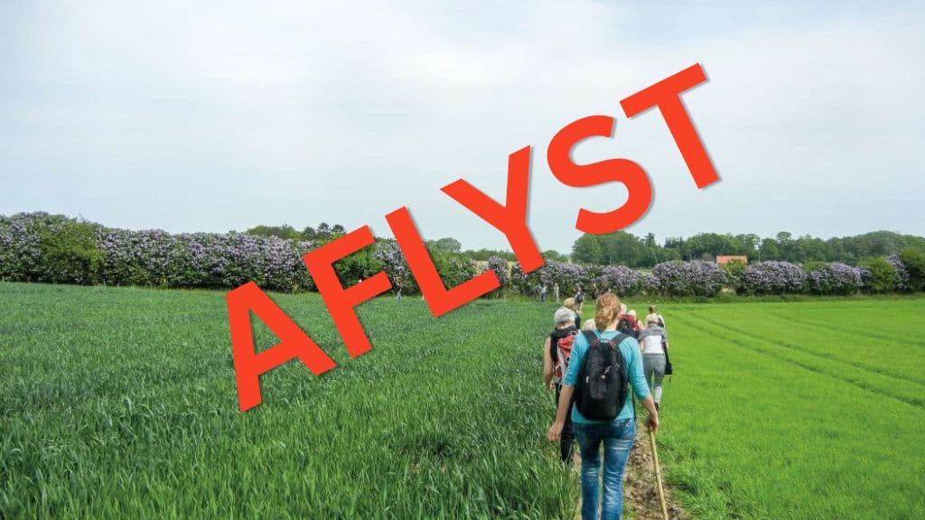Experience image